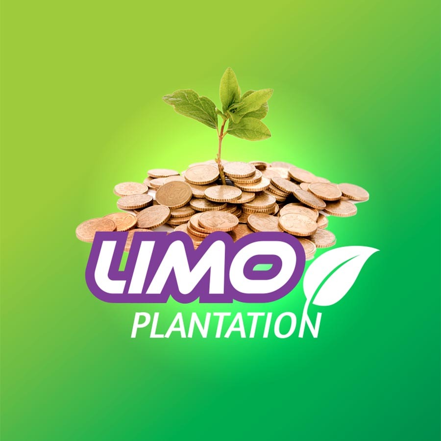 Limo Plantation